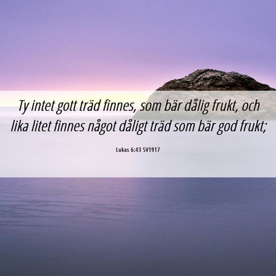 Picture 06 - Lukas 6:43 SV1917 - Ty intet gott träd finnes, som bär dålig - Bible Verse Picture