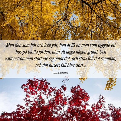 Picture 06 - Lukas 6:49 SV1917 - Men den som hör och icke gör, han är lik en - Bible Verse Picture