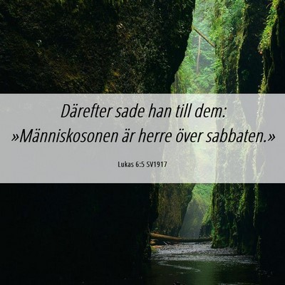 Picture 06 - Lukas 6:5 SV1917 - Därefter sade han till dem: »Människosonen är - Bible Verse Picture