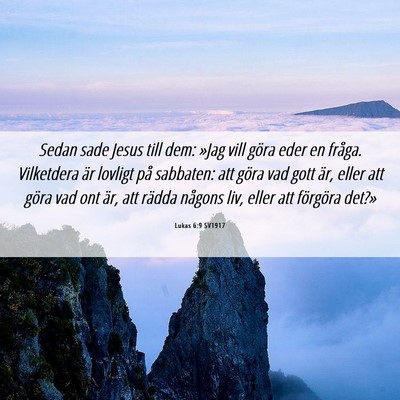 Picture 06 - Lukas 6:9 SV1917 - Sedan sade Jesus till dem: »Jag vill göra eder - Bible Verse Picture