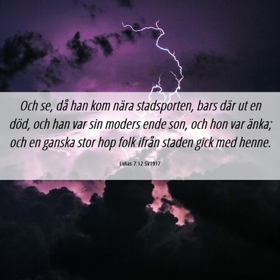 Picture 06 - Lukas 7:12 SV1917 - Och se, då han kom nära stadsporten, bars där - Bible Verse Picture