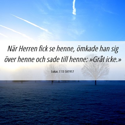 Picture 06 - Lukas 7:13 SV1917 - När Herren fick se henne, ömkade han sig över - Bible Verse Picture