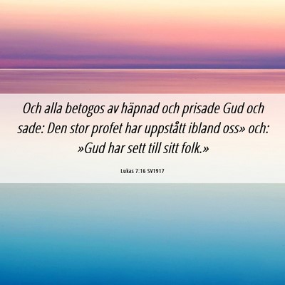 Picture 06 - Lukas 7:16 SV1917 - Och alla betogos av häpnad och prisade Gud och - Bible Verse Picture