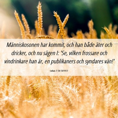 Picture 06 - Lukas 7:34 SV1917 - Människosonen har kommit, och han både äter - Bible Verse Picture