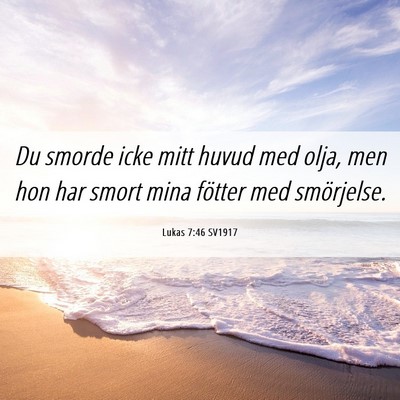 Picture 06 - Lukas 7:46 SV1917 - Du smorde icke mitt huvud med olja, men hon har - Bible Verse Picture