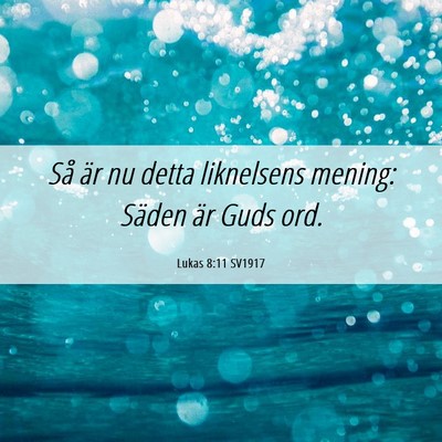Picture 06 - Lukas 8:11 SV1917 - Så är nu detta liknelsens mening: Säden är - Bible Verse Picture