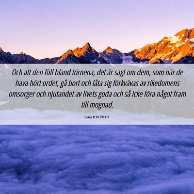 Picture 06 - Lukas 8:14 SV1917 - Och att den föll bland törnena, det är sagt om - Bible Verse Picture