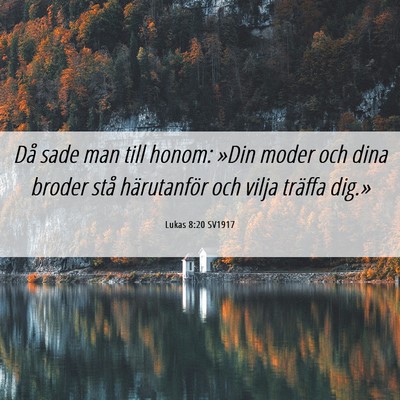 Picture 06 - Lukas 8:20 SV1917 - Då sade man till honom: »Din moder och dina - Bible Verse Picture