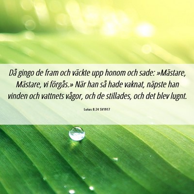 Picture 06 - Lukas 8:24 SV1917 - Då gingo de fram och väckte upp honom och sade: - Bible Verse Picture
