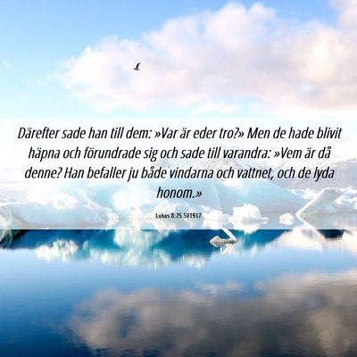 Picture 06 - Lukas 8:25 SV1917 - Därefter sade han till dem: »Var är eder - Bible Verse Picture
