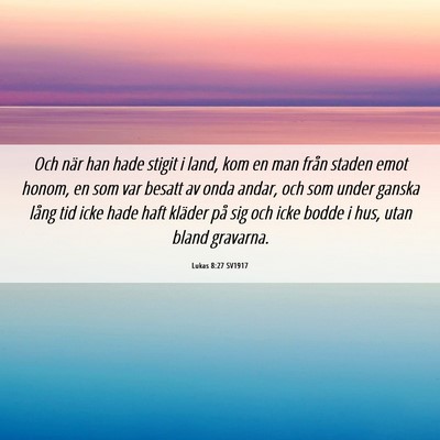 Picture 06 - Lukas 8:27 SV1917 - Och när han hade stigit i land, kom en man från - Bible Verse Picture