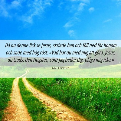 Picture 06 - Lukas 8:28 SV1917 - Då nu denne fick se Jesus, skriade han och föll - Bible Verse Picture