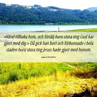 Picture 06 - Lukas 8:39 SV1917 - »Vänd tillbaka hem, och förtälj huru stora - Bible Verse Picture