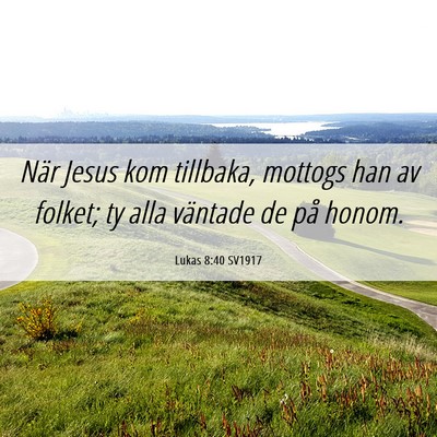 Picture 06 - Lukas 8:40 SV1917 - När Jesus kom tillbaka, mottogs han av folket; - Bible Verse Picture