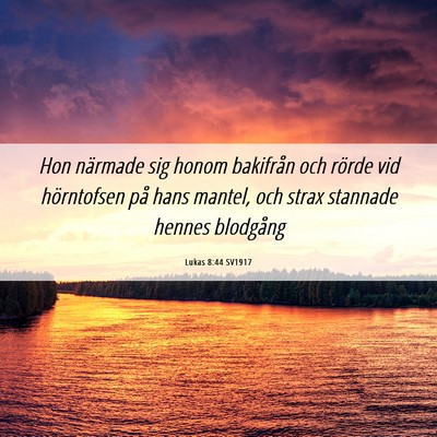 Picture 06 - Lukas 8:44 SV1917 - Hon närmade sig honom bakifrån och rörde vid - Bible Verse Picture