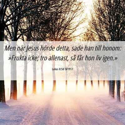 Picture 06 - Lukas 8:50 SV1917 - Men när Jesus hörde detta, sade han till honom: - Bible Verse Picture