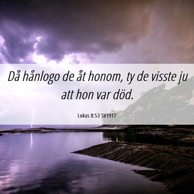 Picture 06 - Lukas 8:53 SV1917 - Då hånlogo de åt honom, ty de visste ju att - Bible Verse Picture