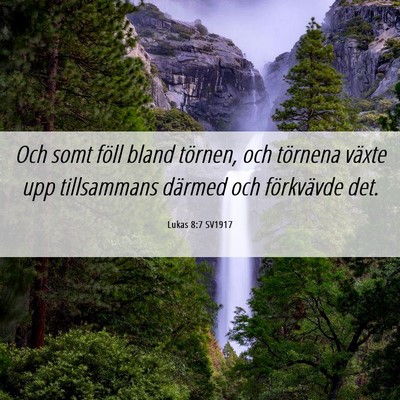 Picture 06 - Lukas 8:7 SV1917 - Och somt föll bland törnen, och törnena växte - Bible Verse Picture
