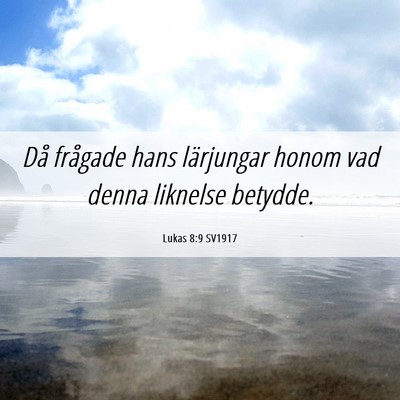 Picture 06 - Lukas 8:9 SV1917 - Då frågade hans lärjungar honom vad denna - Bible Verse Picture