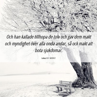 Picture 06 - Lukas 9:1 SV1917 - Och han kallade tillhopa de tolv och gav dem makt - Bible Verse Picture