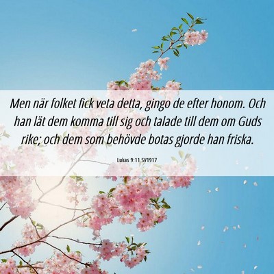Picture 06 - Lukas 9:11 SV1917 - Men när folket fick veta detta, gingo de efter - Bible Verse Picture