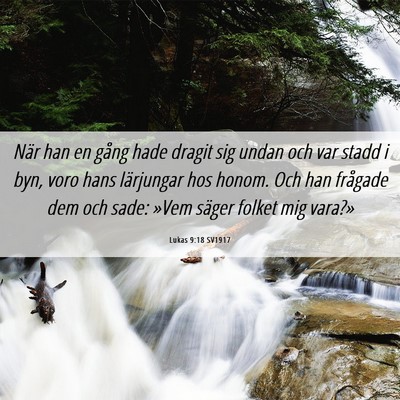 Picture 06 - Lukas 9:18 SV1917 - När han en gång hade dragit sig undan och var - Bible Verse Picture