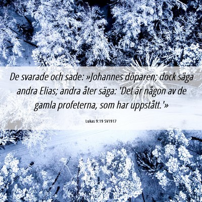 Picture 06 - Lukas 9:19 SV1917 - De svarade och sade: »Johannes döparen; dock - Bible Verse Picture