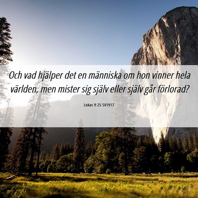 Picture 06 - Lukas 9:25 SV1917 - Och vad hjälper det en människa om hon vinner - Bible Verse Picture