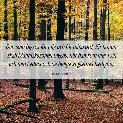 Picture 06 - Lukas 9:26 SV1917 - Den som blyges för mig och för mina ord, för - Bible Verse Picture
