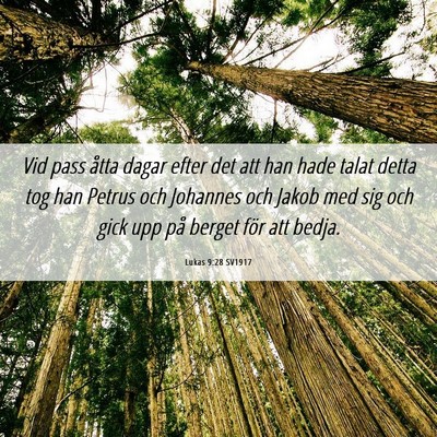 Picture 06 - Lukas 9:28 SV1917 - Vid pass åtta dagar efter det att han hade talat - Bible Verse Picture