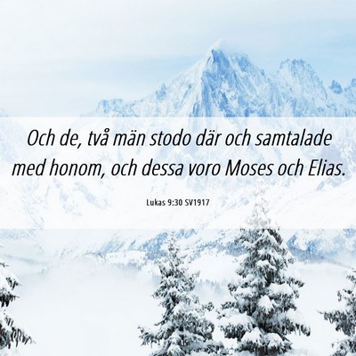 Picture 06 - Lukas 9:30 SV1917 - Och de, två män stodo där och samtalade med - Bible Verse Picture