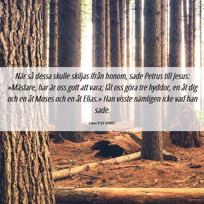 Picture 06 - Lukas 9:33 SV1917 - När så dessa skulle skiljas ifrån honom, sade - Bible Verse Picture