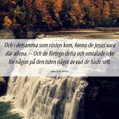 Picture 06 - Lukas 9:36 SV1917 - Och i detsamma som rösten kom, funno de Jesus - Bible Verse Picture