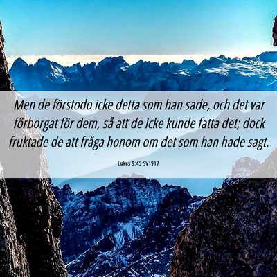 Picture 06 - Lukas 9:45 SV1917 - Men de förstodo icke detta som han sade, och det - Bible Verse Picture