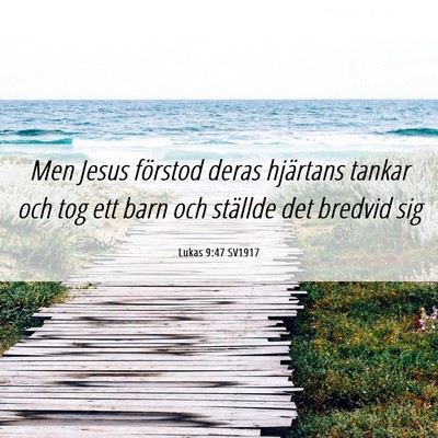 Picture 06 - Lukas 9:47 SV1917 - Men Jesus förstod deras hjärtans tankar och tog - Bible Verse Picture