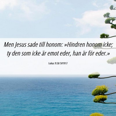 Picture 06 - Lukas 9:50 SV1917 - Men Jesus sade till honom: »Hindren honom icke; - Bible Verse Picture