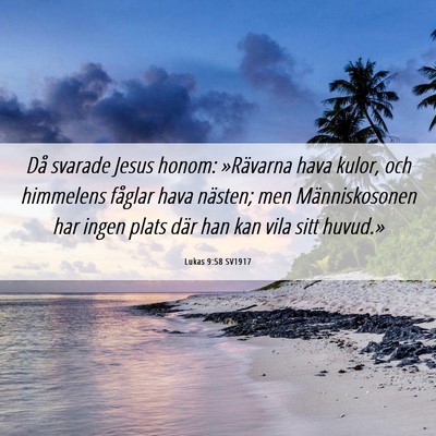 Picture 06 - Lukas 9:58 SV1917 - Då svarade Jesus honom: »Rävarna hava kulor, - Bible Verse Picture