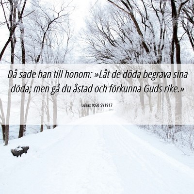 Picture 06 - Lukas 9:60 SV1917 - Då sade han till honom: »Låt de döda begrava - Bible Verse Picture
