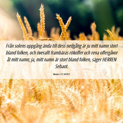 Picture 06 - Malaki 1:11 SV1917 - Från solens uppgång ända till dess nedgång - Bible Verse Picture