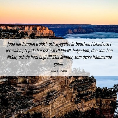 Picture 06 - Malaki 2:11 SV1917 - Juda har handlat trolöst, och styggelse är - Bible Verse Picture