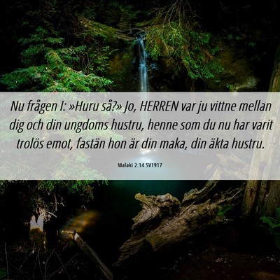 Picture 06 - Malaki 2:14 SV1917 - Nu frågen I: »Huru så?» Jo, HERREN var ju - Bible Verse Picture