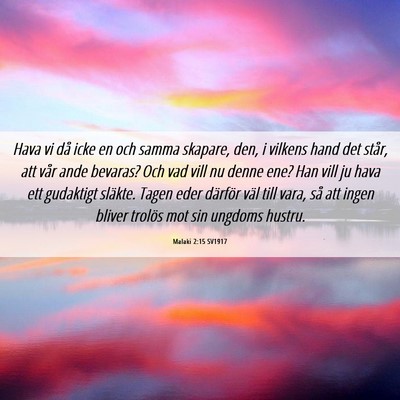 Picture 06 - Malaki 2:15 SV1917 - Hava vi då icke en och samma skapare, den, i - Bible Verse Picture