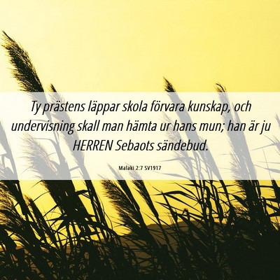 Picture 06 - Malaki 2:7 SV1917 - Ty prästens läppar skola förvara kunskap, och - Bible Verse Picture