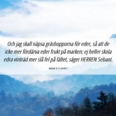 Picture 06 - Malaki 3:11 SV1917 - Och jag skall näpsa gräshopporna för eder, så - Bible Verse Picture