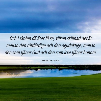 Picture 06 - Malaki 3:18 SV1917 - Och I skolen då åter få se, vilken skillnad - Bible Verse Picture