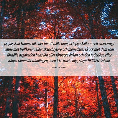 Picture 06 - Malaki 3:5 SV1917 - Ja, jag skall komma till eder för att hålla - Bible Verse Picture