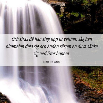 Picture 06 - Markus 1:10 SV1917 - Och strax då han steg upp ur vattnet, såg han - Bible Verse Picture