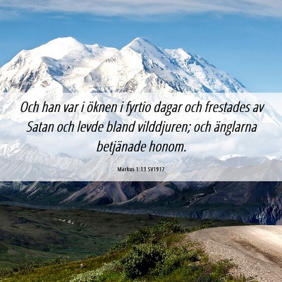 Picture 06 - Markus 1:13 SV1917 - Och han var i öknen i fyrtio dagar och frestades - Bible Verse Picture