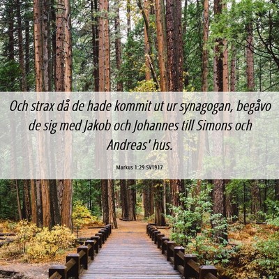 Picture 06 - Markus 1:29 SV1917 - Och strax då de hade kommit ut ur synagogan, - Bible Verse Picture