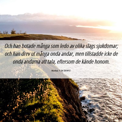 Picture 06 - Markus 1:34 SV1917 - Och han botade många som ledo av olika slags - Bible Verse Picture
